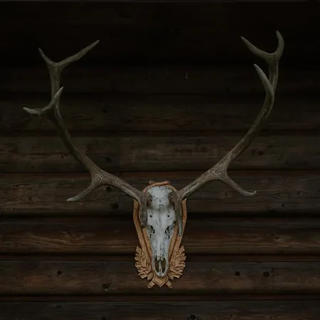 Wacowka - Caloroczny Holiday home Podegrodzie (Lesser Poland)